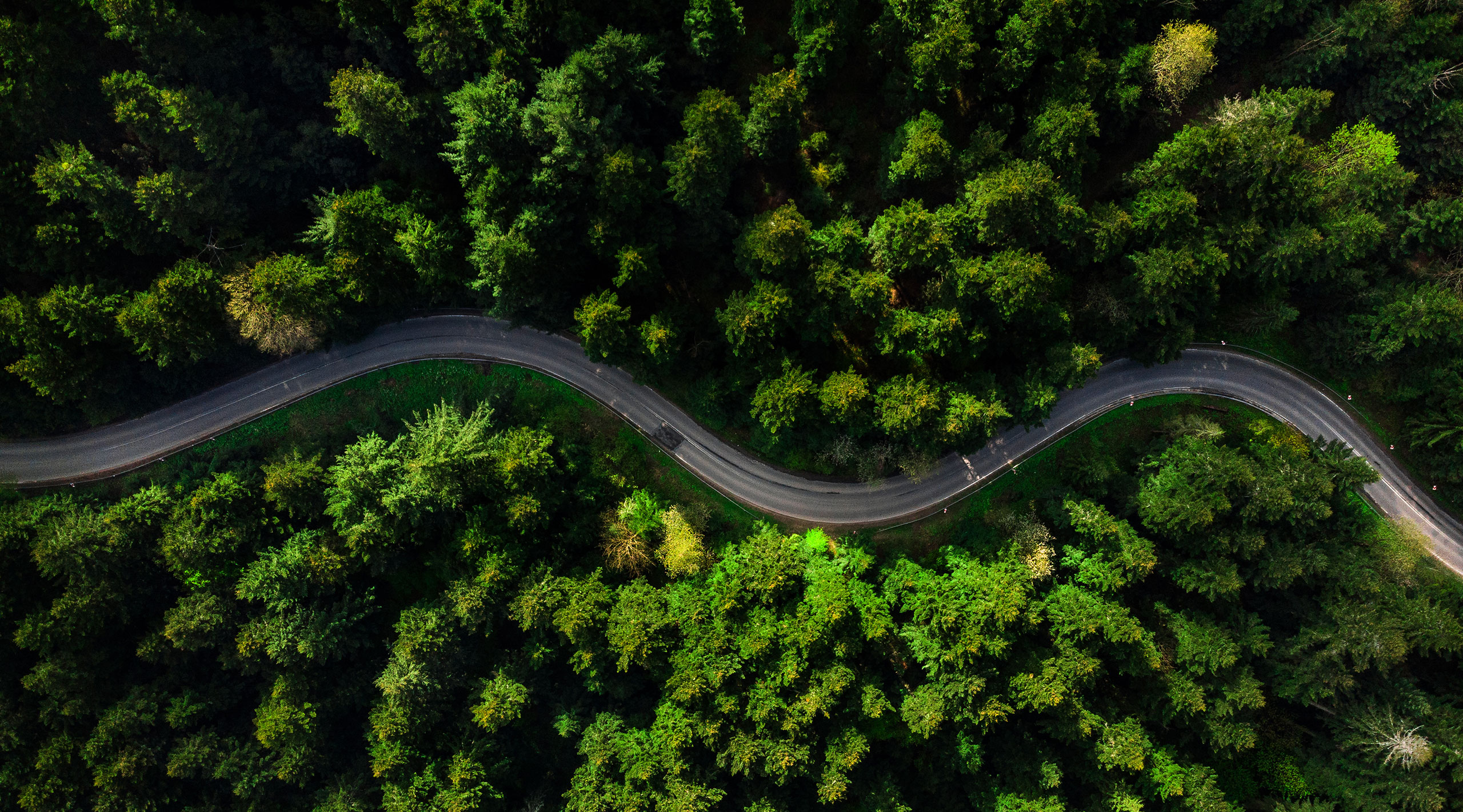 Dertophalt™, plant-based binder for high performant green roads