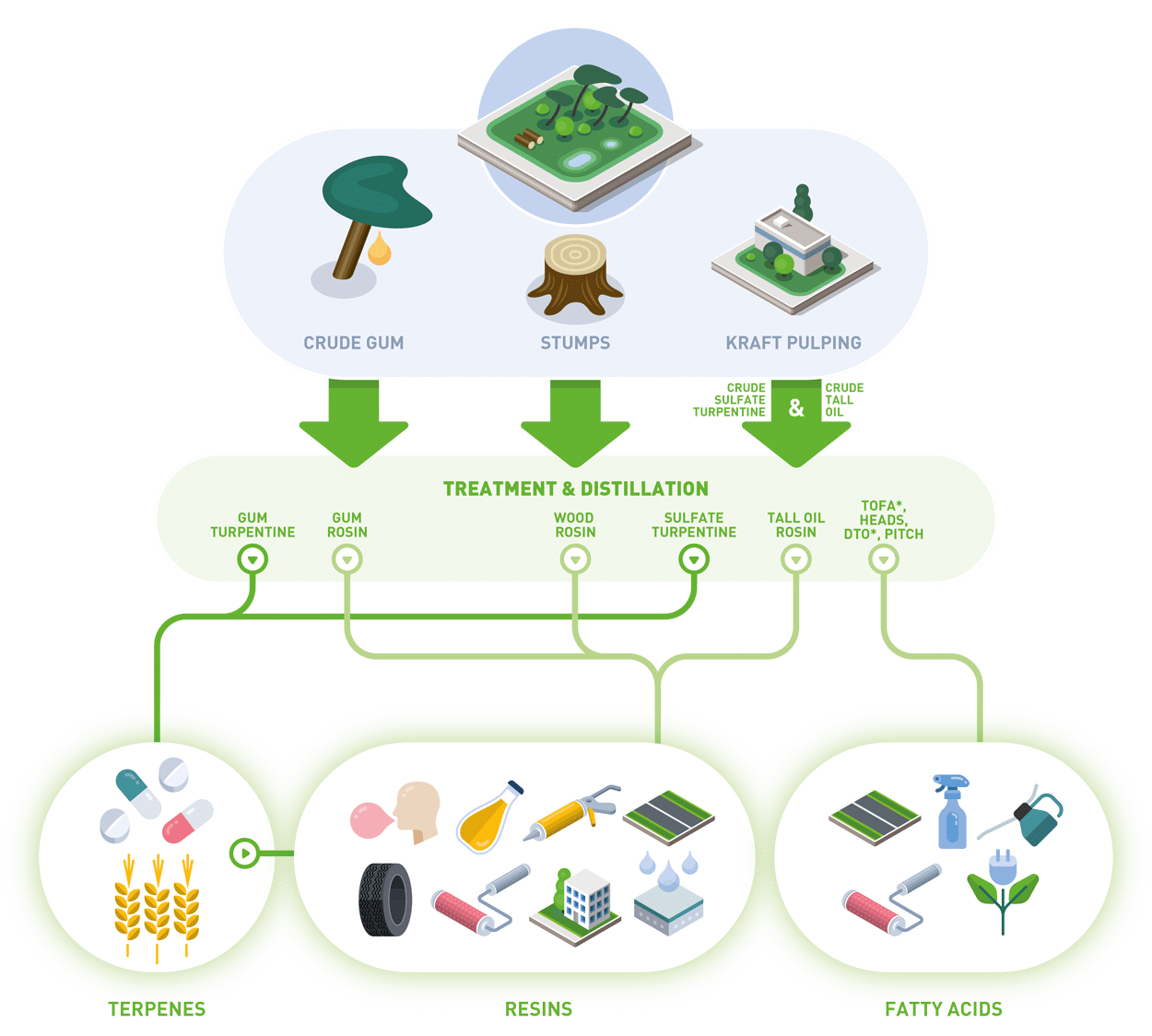 PINE ROSINS on LinkedIn: Current resin, rosin, and turpentine prices may be  influenced by market…